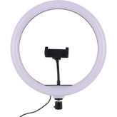 رینگ لایت 13 اینچ مدل BD-330